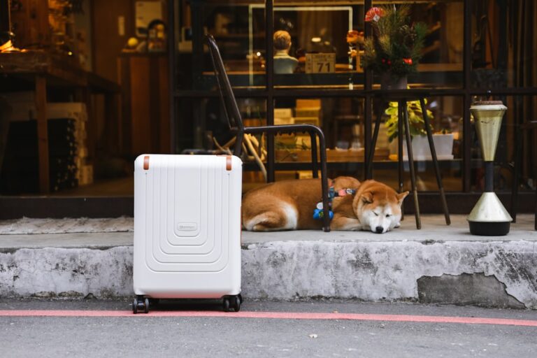 Affordable Luxury: Stylish Suitcases Without Breaking the Bank